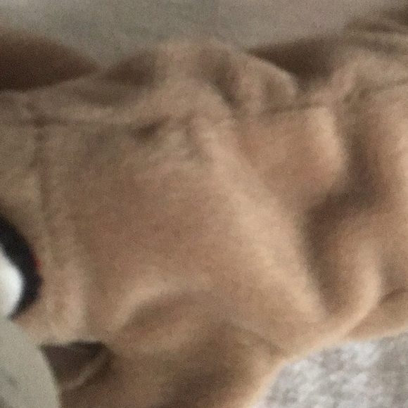 Beany Baby Ringo - Picture 2 of 6